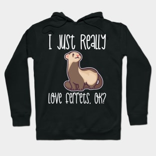 I Just Really Love Ferrets, OK? graphic Hoodie